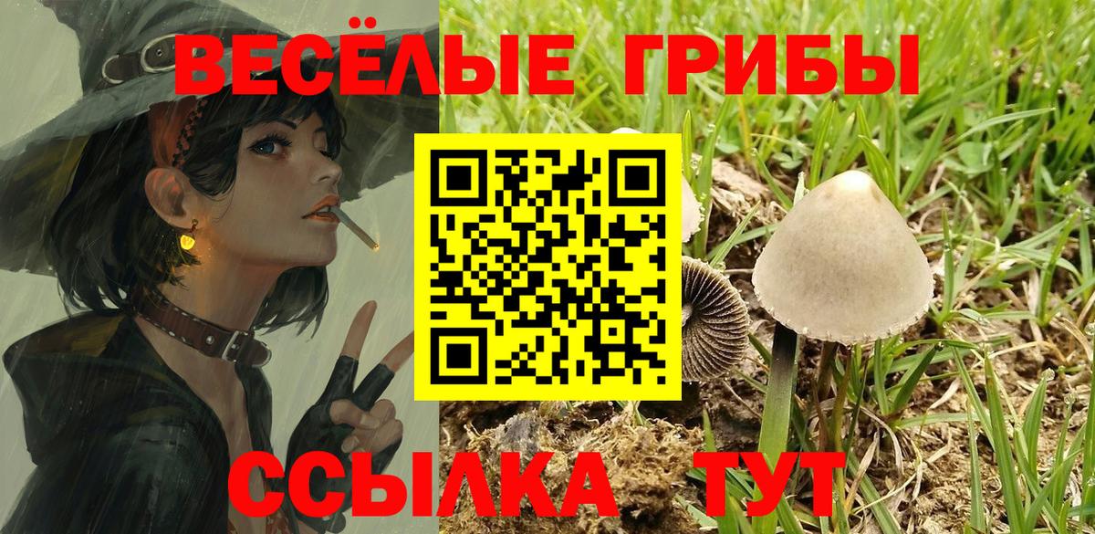 Рубцовск  Псилоцибиновые грибы Psilocybe  Вход с VPN 